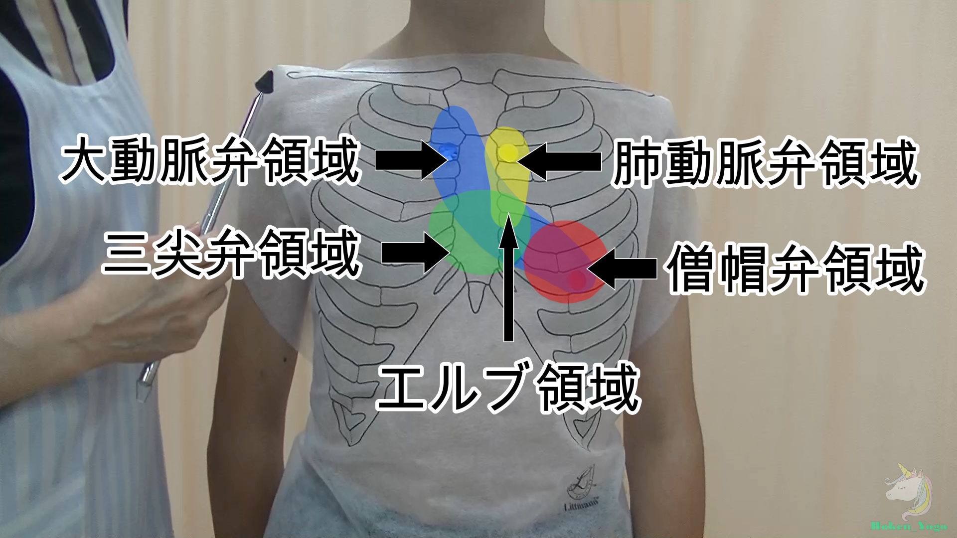 図-胸部循環器-聴診-聴診領域.png