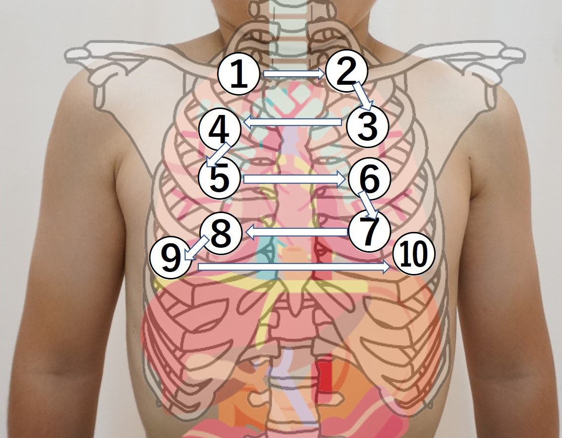 図-胸部呼吸器-打診-打診の順番.jpg