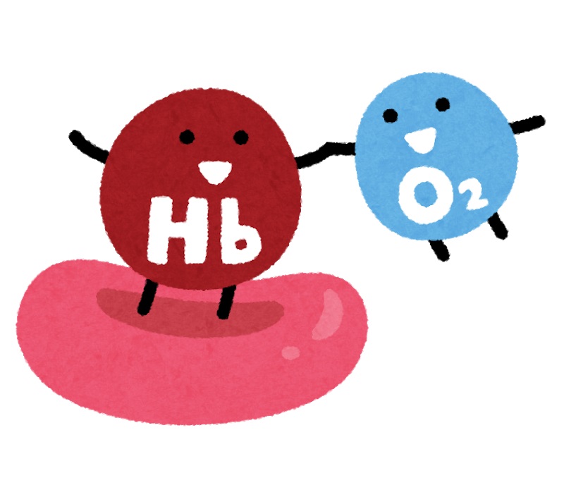 図-ヘモグロビンと結合する酸素.jpg