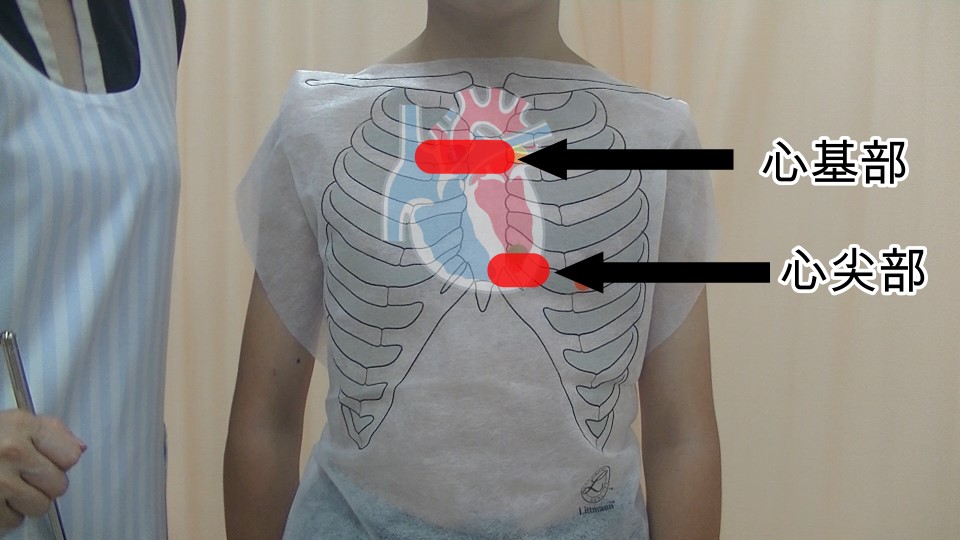 図-胸部循環器-聴診-心音心基部心尖部.jpg