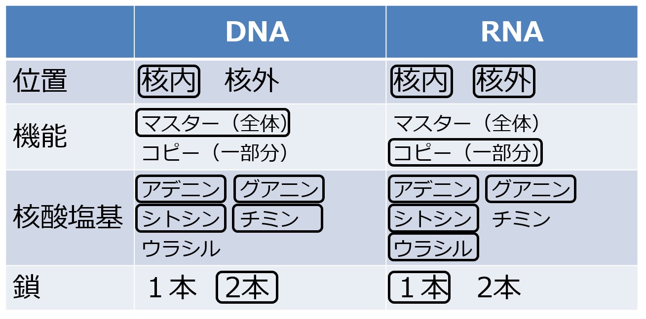 DNARNAtable-1.jpg