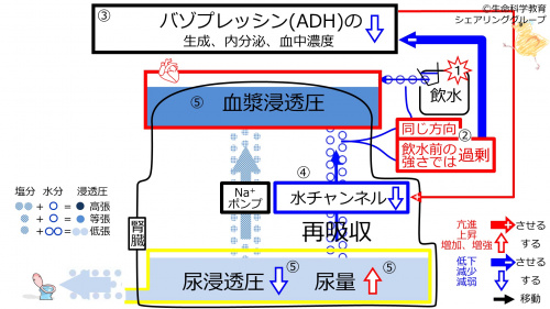 6-ADHcontrol-water2-2020.jpg