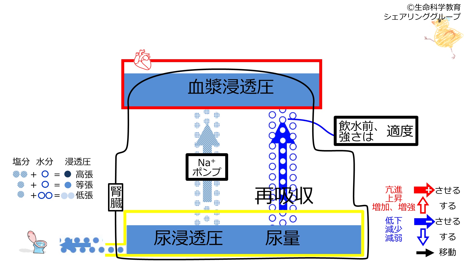家畜血液図説 2023年8月 新規検定済ホルスタイン種雄牛紹介 | GH-CONTENT