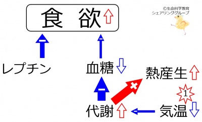 Appetite determinant-low temperature.jpg