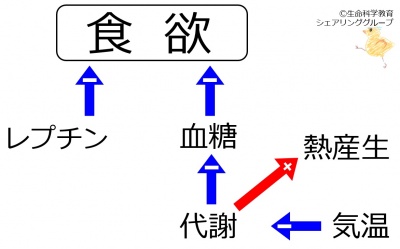 Appetite determinant.jpg