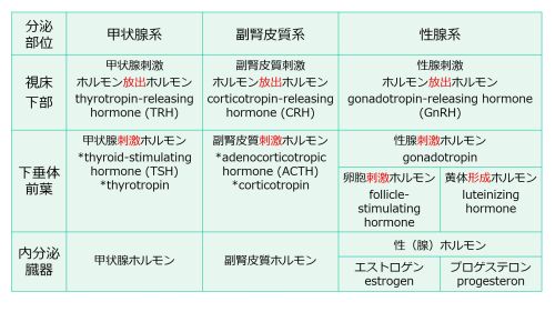 3層構造名称E、P含む.jpg