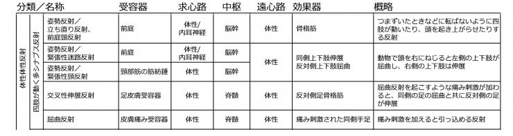 体性-自律神経反射の生理学-物理療法,鍼灸,手技療法の理論 | A
