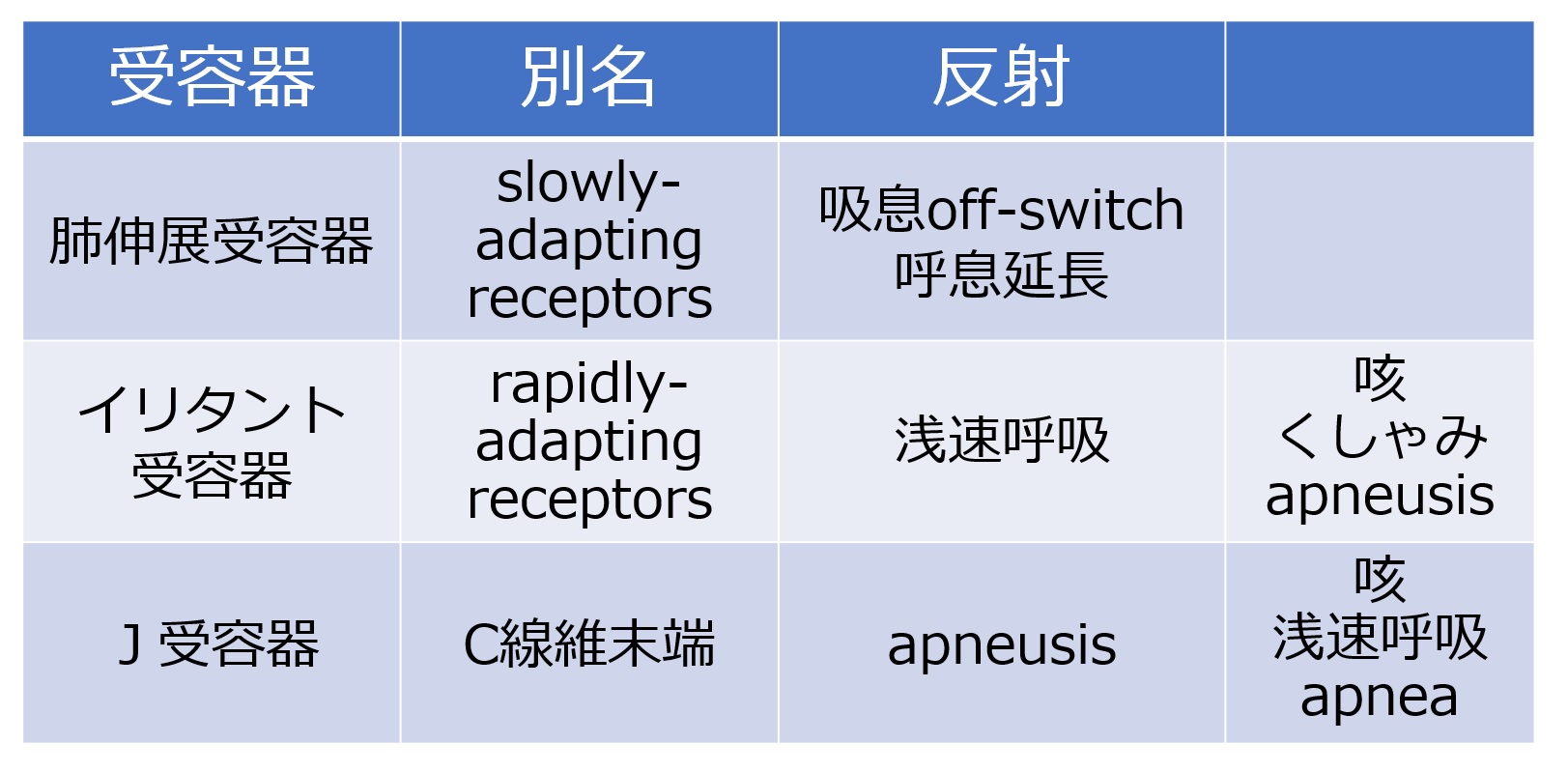 呼吸調節・呼吸反射（6級）/呼吸/呼吸調節/反射・反応/咳反射 | 一歩一歩学ぶ生命科学