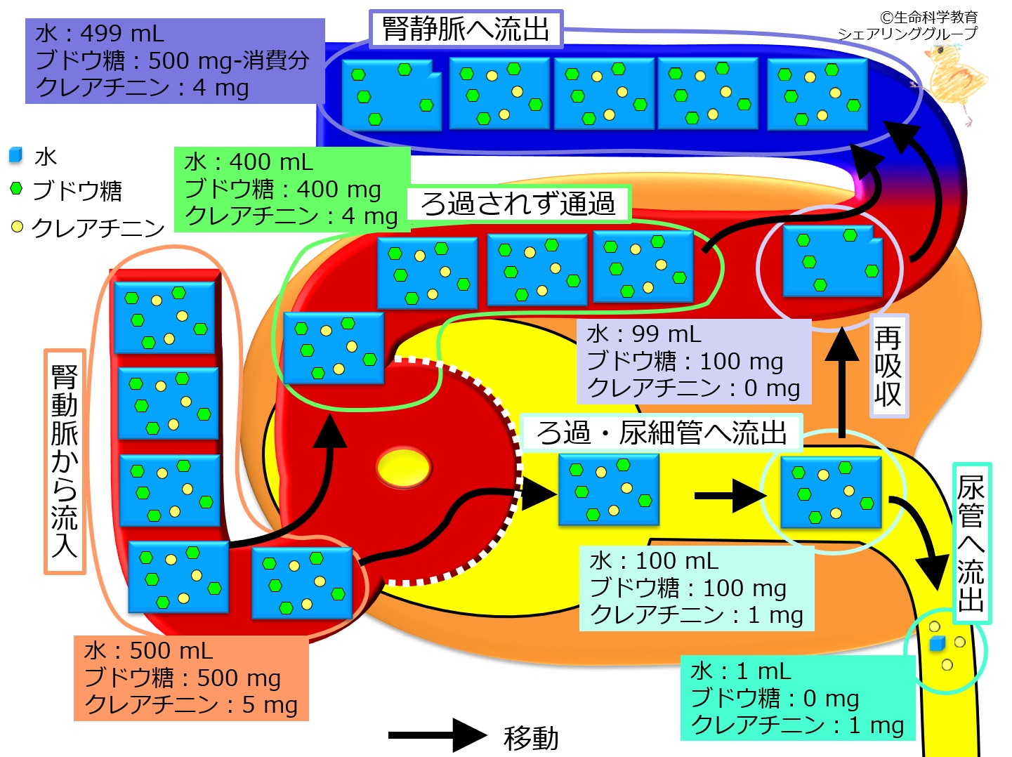 簡単なまとめ.jpg