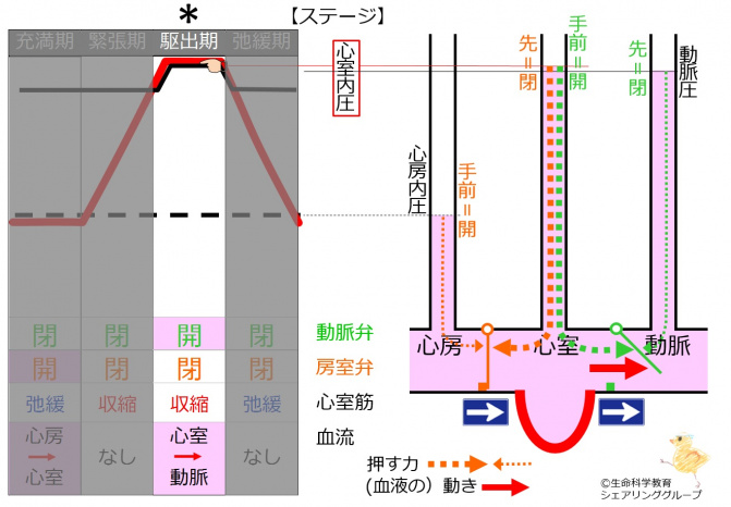 駆出期.jpg