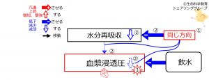 ./images/300px-WaterIntakeDuringBasicFeedbackToWaterReabsorption-Jpn.jpg