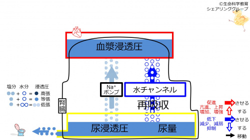 DecWaterChannelBaseline.jpg