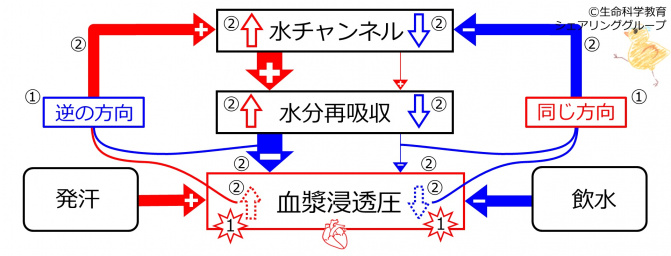 BasicFeedbackToWaterChannels-JPN.jpg