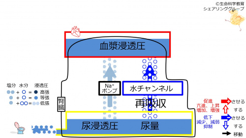 6-incChannel-waterintakeeffect1.jpg