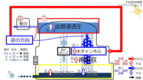 6-sweatChannel-control2.jpg