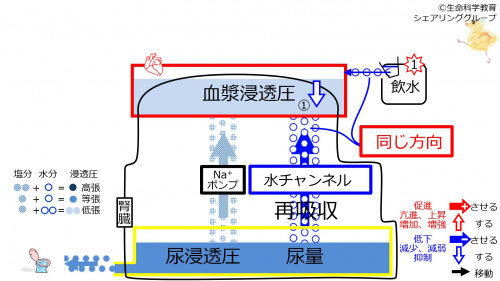 6-waterChannel-control1.jpg