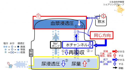 6-waterChannel-control2.jpg