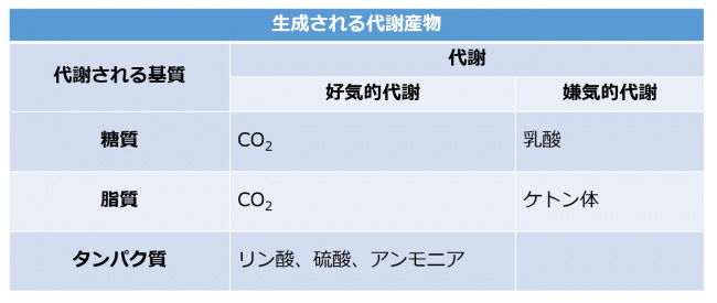 生体内での酸性物質の生成.jpg