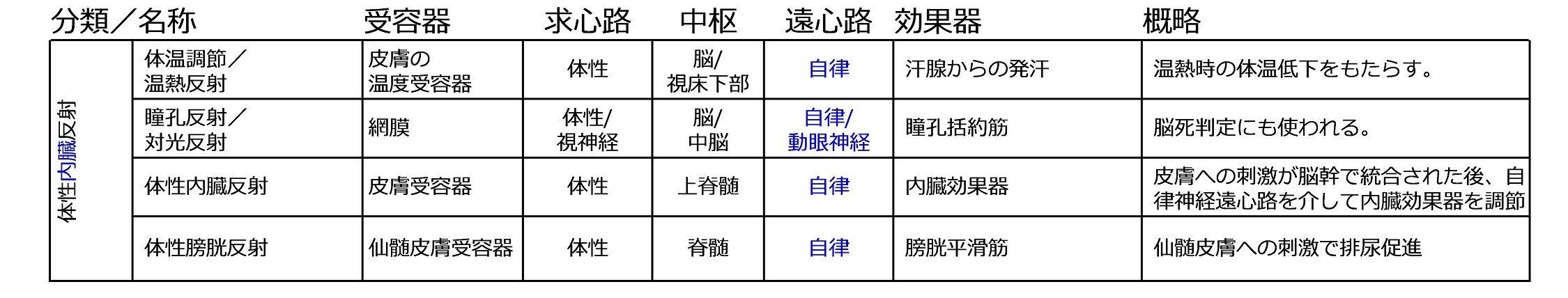 神経系/反射/体性―内臓反射