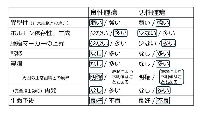 TumorBenignMalignantBasic-Jpn.jpg