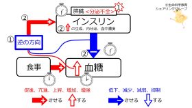 ./images/280px-PancreasInsufficiency.jpg