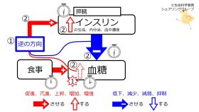 ./images/280px-PancreasSufficiency.jpg