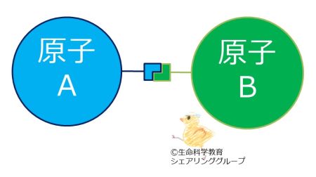 ./images/450px-結合とは.jpg