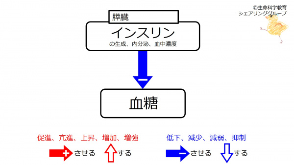 InsulinBaselineJpn.jpg