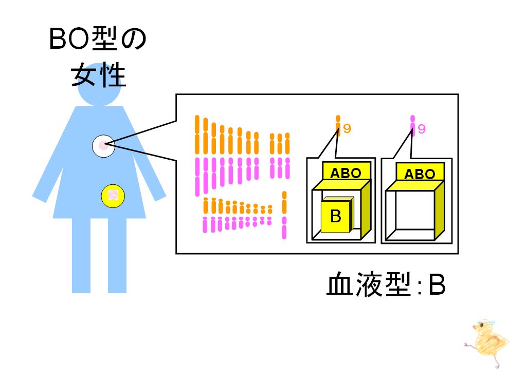 aa 人気 bb 血液型