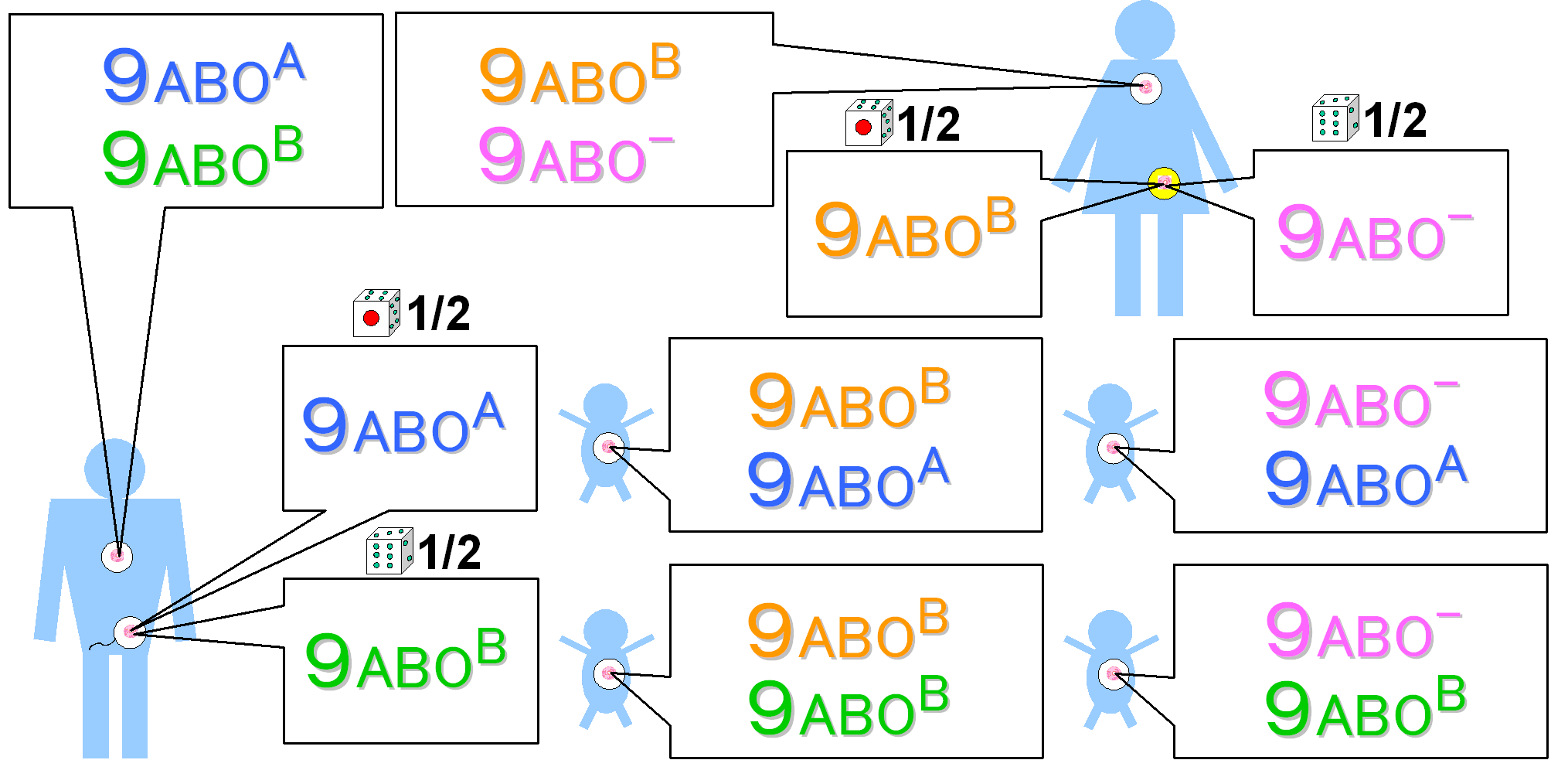 bb型 bo型 性格 安い