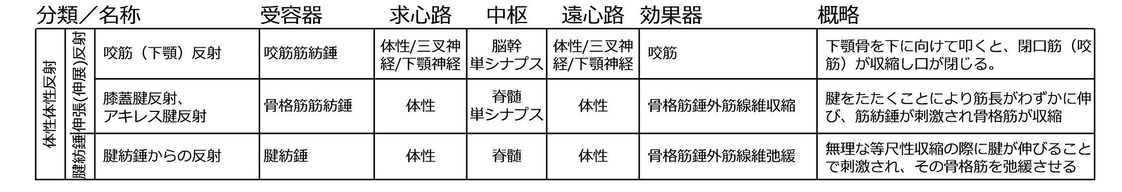 ReflexFromMuscleSpindlesAndTendonSpindlesTable.jpg