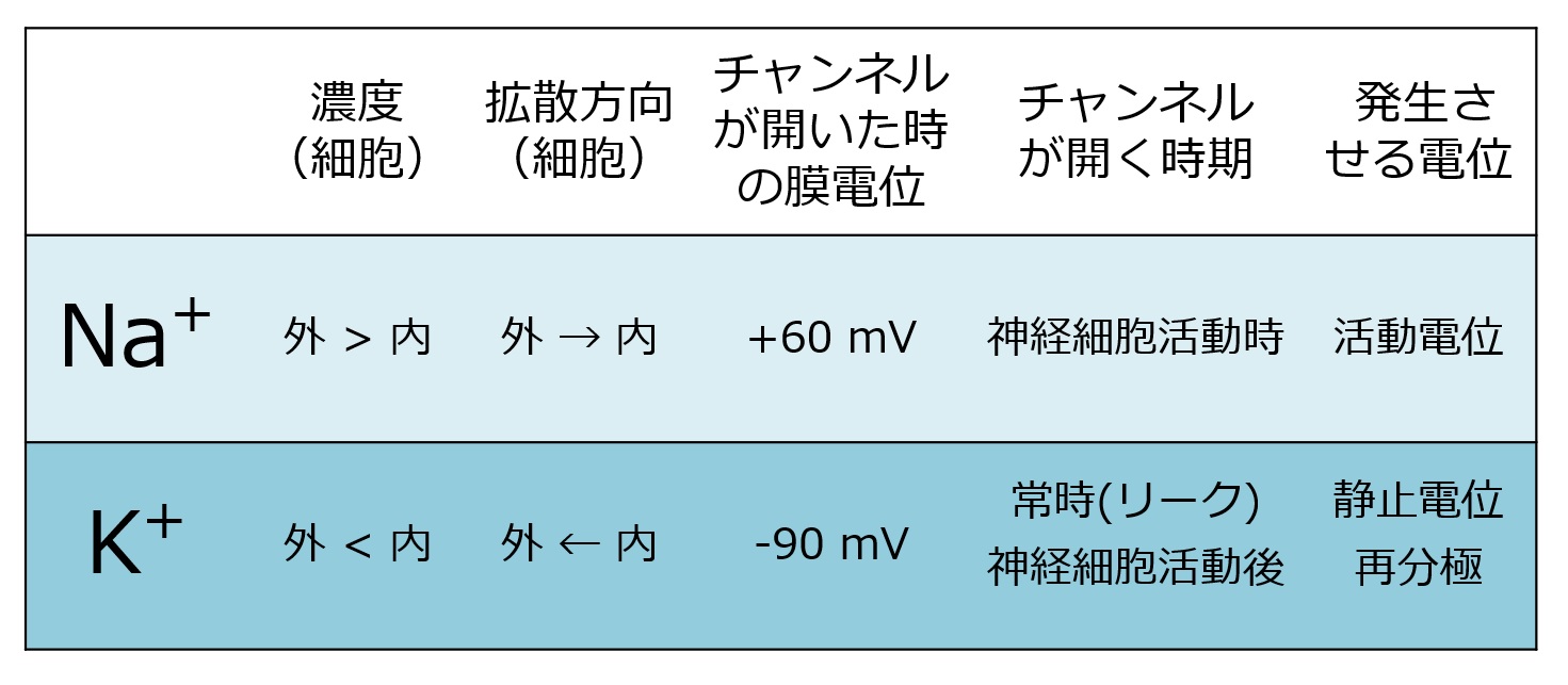 Kchannel Nachannel ja.jpg