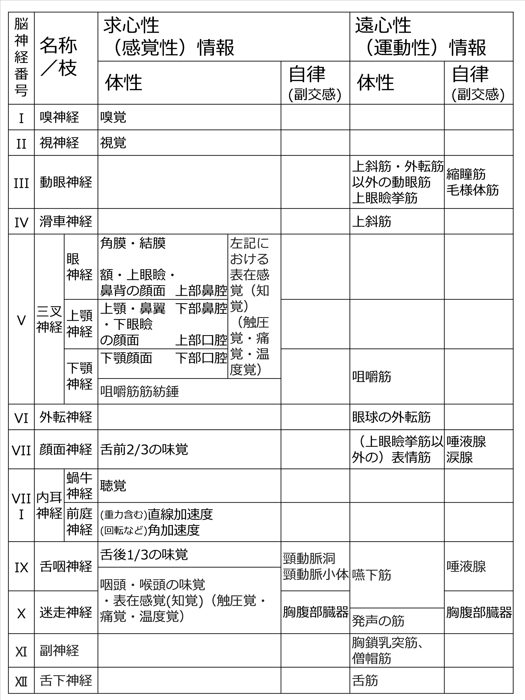 CranialNervesBasicTableJpn.jpg