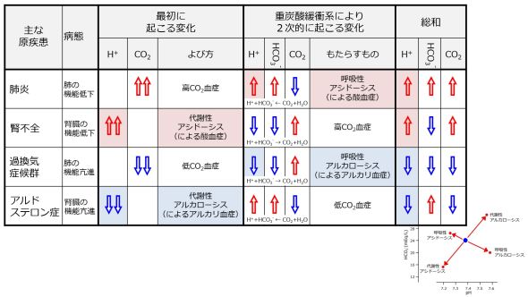 ./images/590px-BicorboBasicnateBufferStep2DataSummary-Jpn.jpg