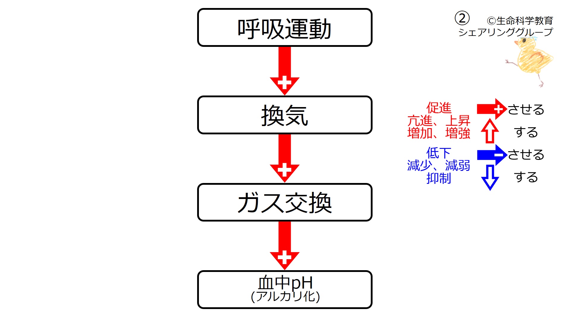 FRAT～呼吸と関節運動による機能化技法 ～