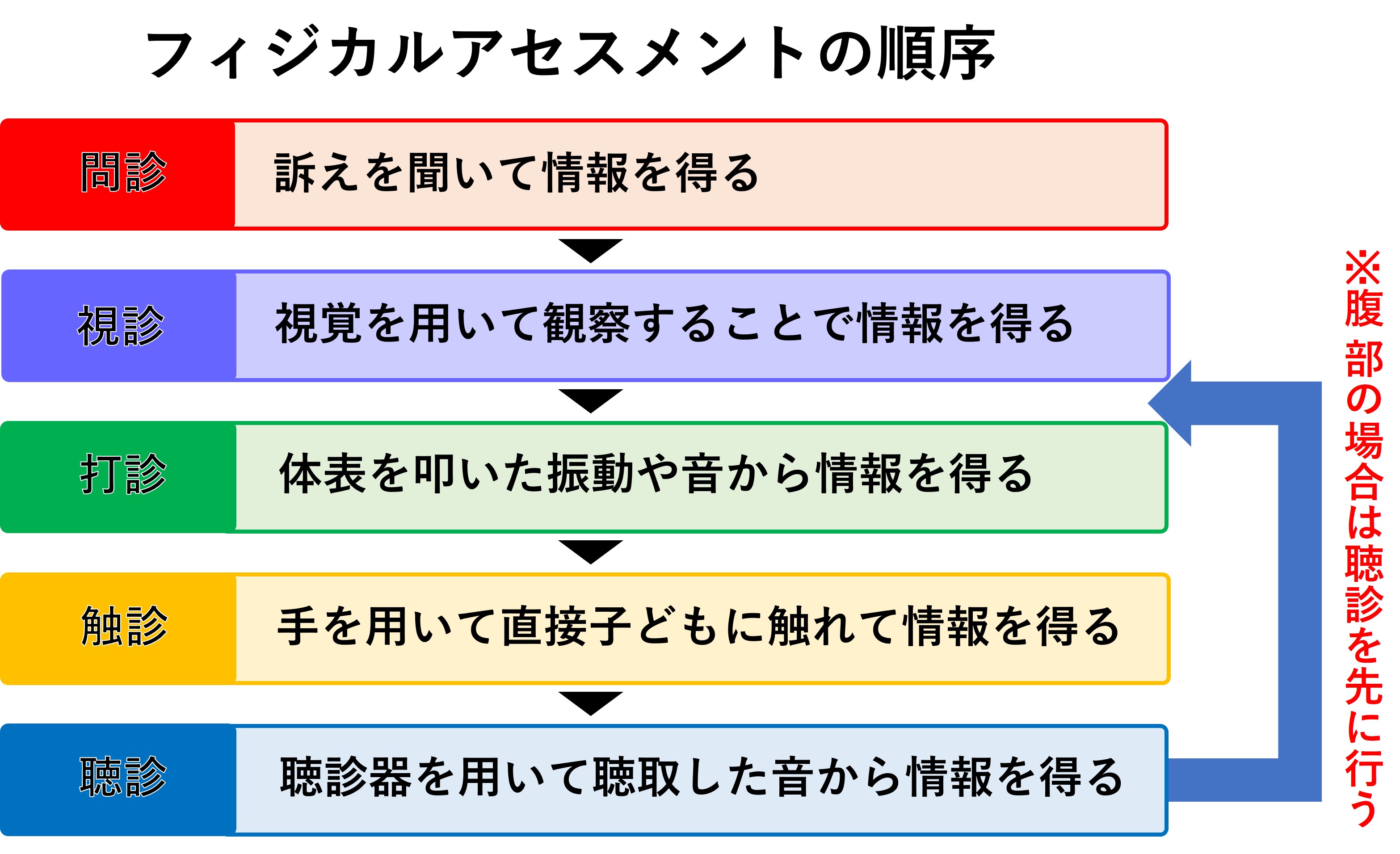 犬と猫のフィジカルアセスメント 視診・触診・聴診のきほん-