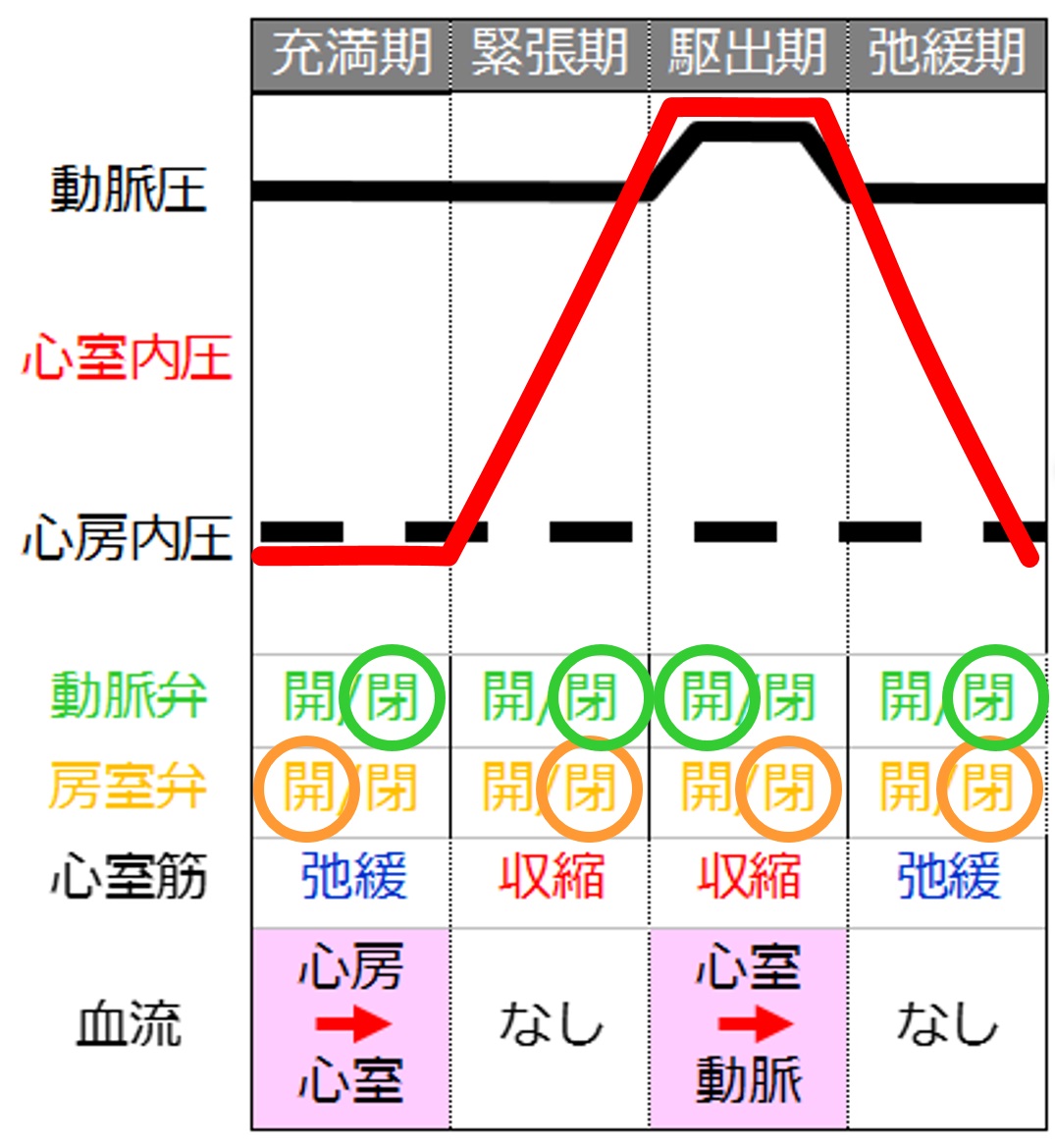 軽度の左心室拡大とは何ですか?