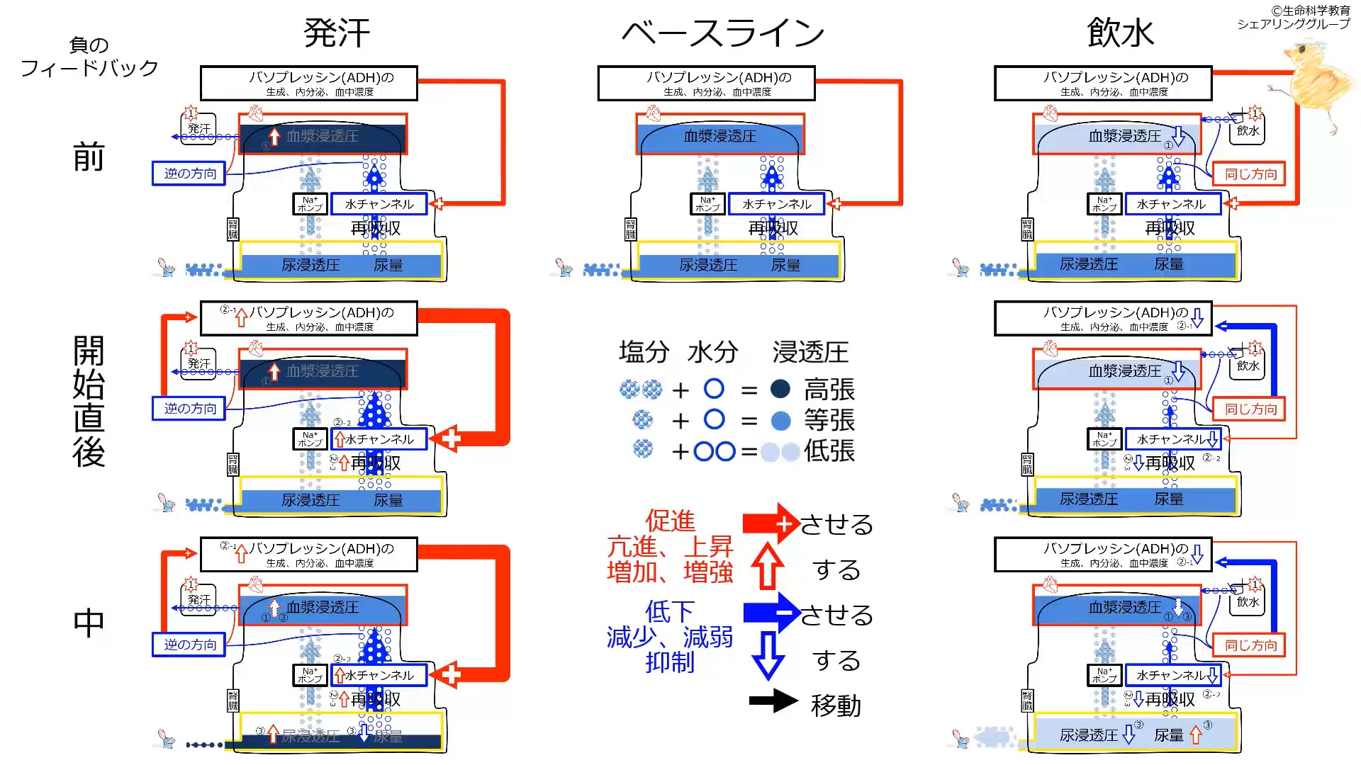 血液検査の準備方法