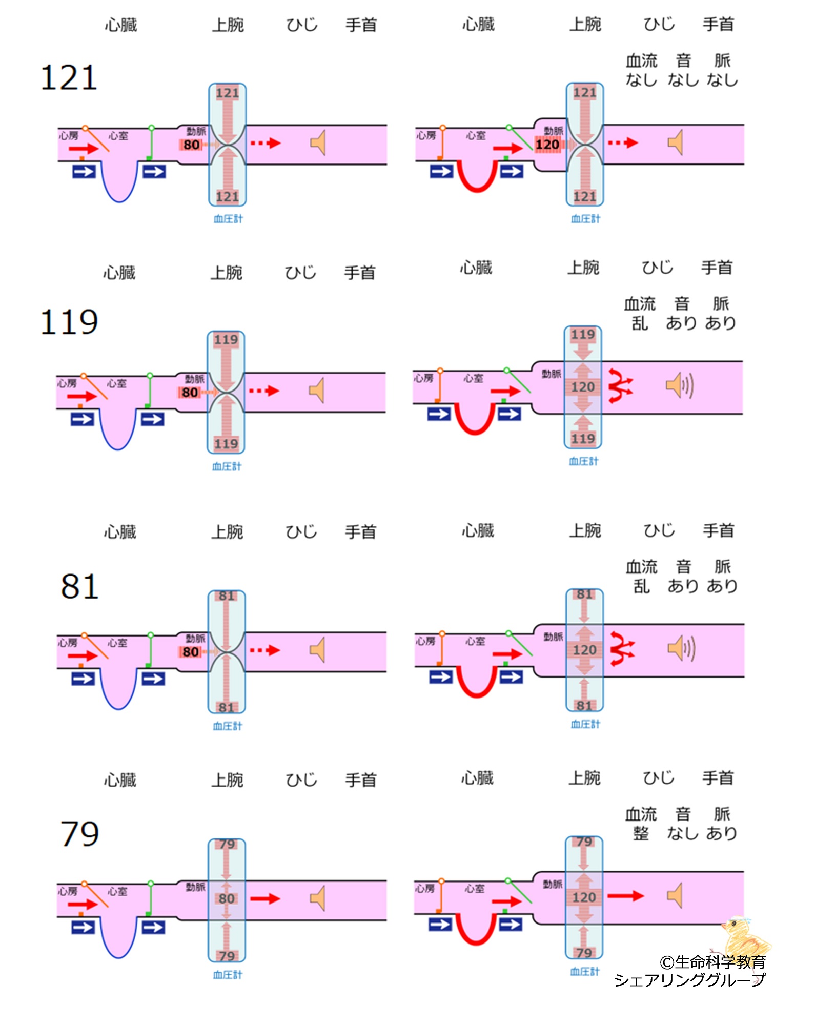 BPmeasurementSummary.jpg