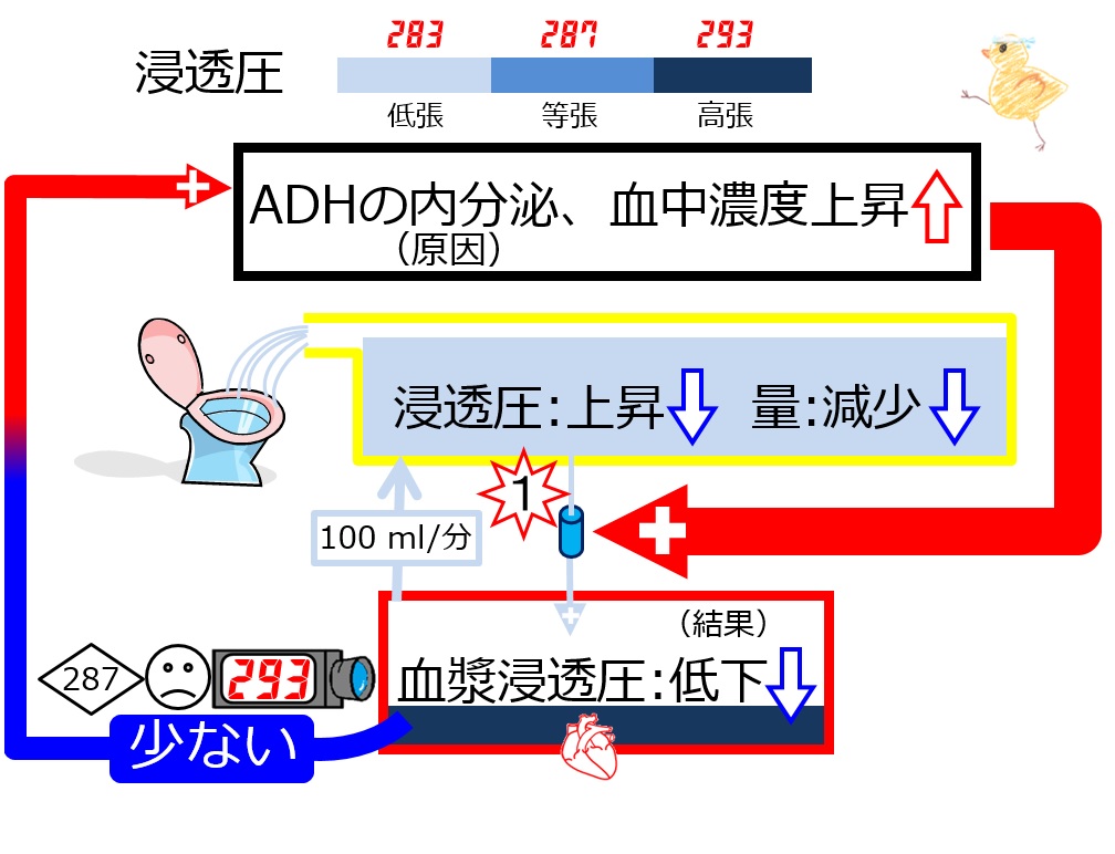 テスト後のフォローアップ