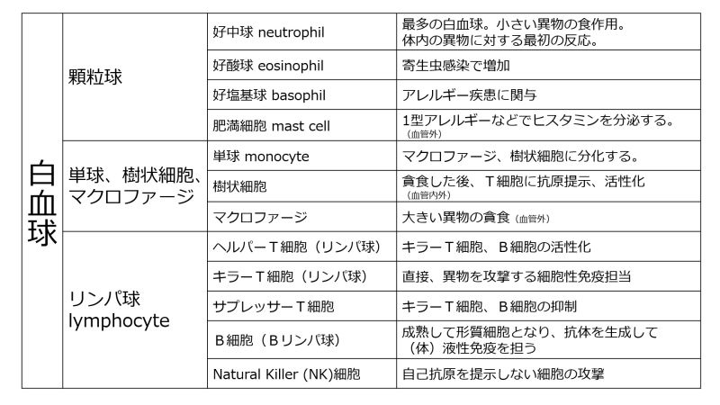 ファイル:WBCclassificationTable-Jpn-wb.jpg