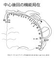 2024年11月16日 (土) 21:59時点における版のサムネイル