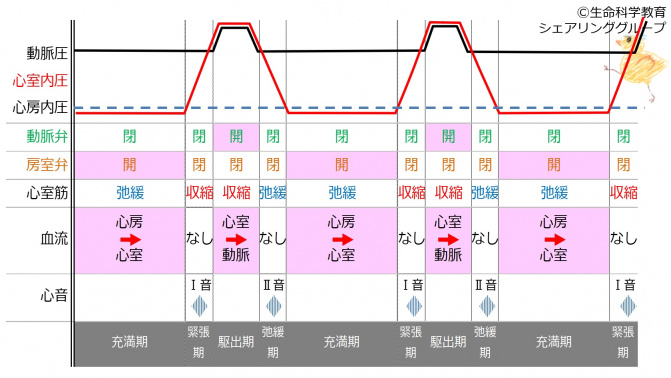 HeardSoundInterval.jpg