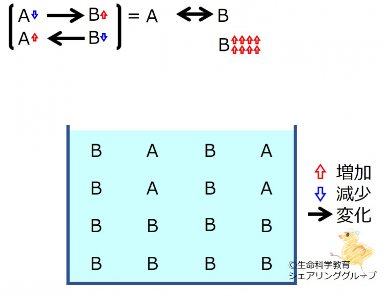 ファイル:ChemicalEquilibriumChangesByIncInMolB-2.jpg