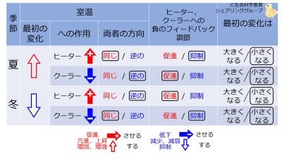 NegFB-BasicTable-Jpn.jpg