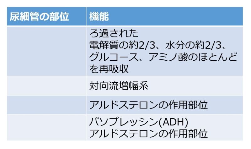 ファイル:Tubule table-wb.jpg