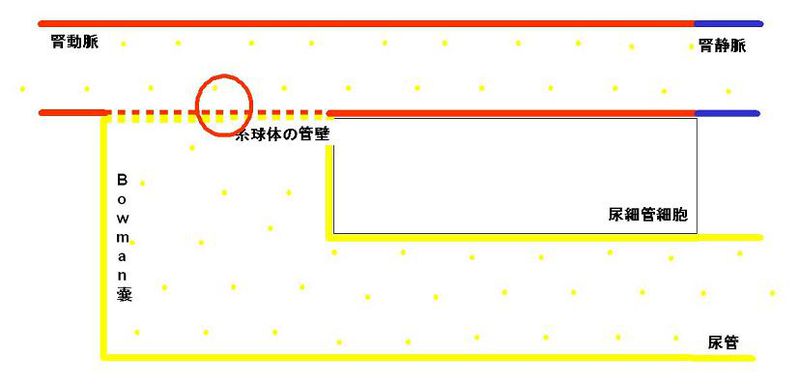 ファイル:00288.jpg