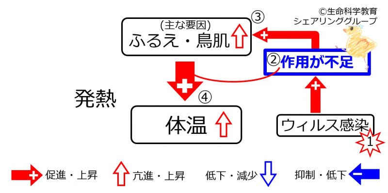 ファイル:InfectionFever.jpg