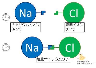 NaCl_イオン結合.jpg