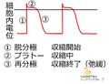 2013年7月22日 (月) 15:33時点における版のサムネイル